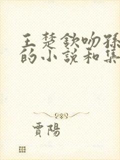 王楚钦吻孙颖莎的小说和集