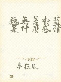 魏无羡对蓝忘机是什么感情