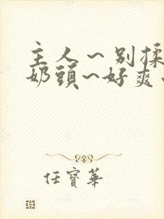 主人～别揉了～奶头~好爽小说