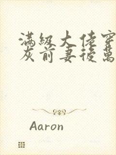 满级大佬穿成炮灰前妻后万岁小说免费看封面