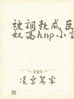 被调教成巨乳奶奴高hnp小说封面