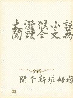 大泼猴小说免费阅读全文无删减