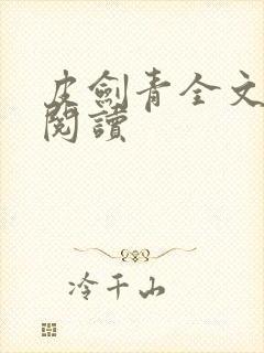 皮剑青全文免费阅读