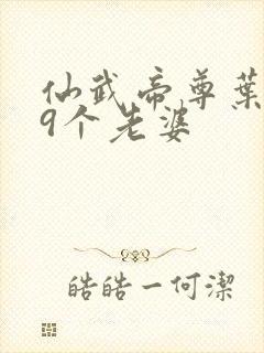 仙武帝尊叶辰19个老婆