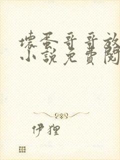 坏蛋哥哥放了我小说免费阅读