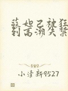 苏妲己被狂c躁到高潮失禁小说