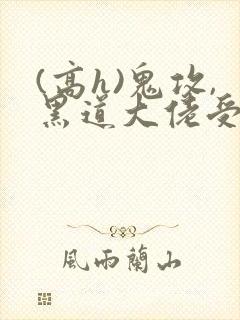 (高h)鬼攻,黑道大佬受