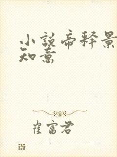 小说帝释景,南知意