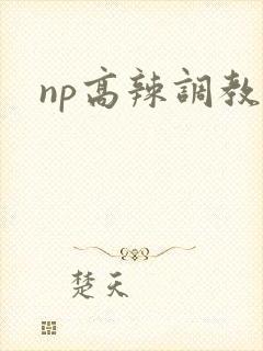 np高辣调教文