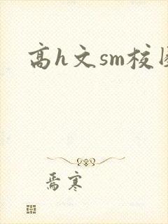 高h文sm校园