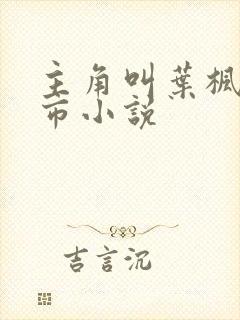 主角叫叶枫的都市小说