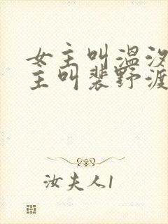 女主叫温汐月男主叫裴野渡的小说叫什么