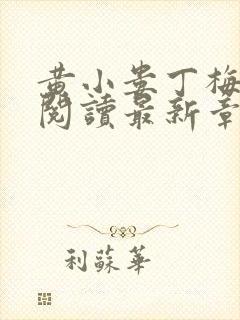 黄小娄丁梅免费阅读最新章节