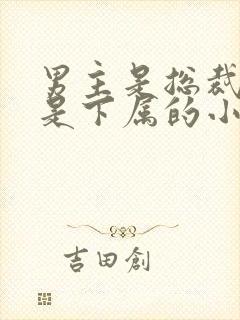 男主是总裁女主是下属的小说