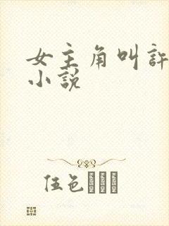 女主角叫许薇的小说