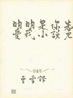 明明是你先说的爱我小说免费阅读