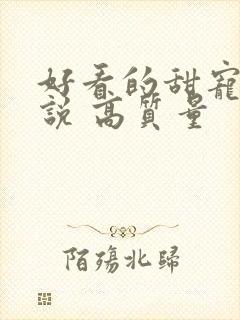 好看的甜宠文小说 高质量封面