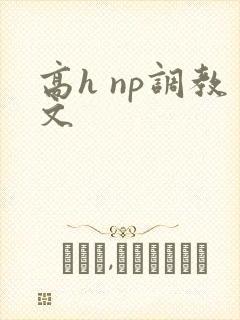 高h np调教文