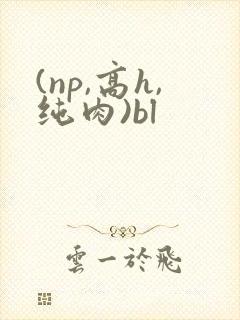 (np,高h,纯肉)bl