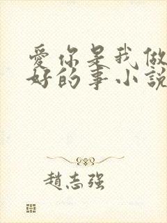 爱你是我做过最好的事小说全文免费阅读