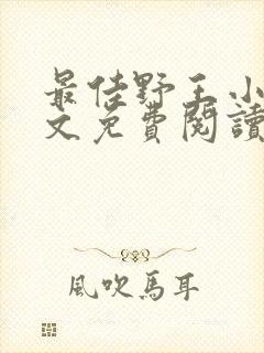 最佳野王小说全文免费阅读封面