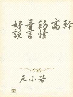 好看的高干文小说言情封面