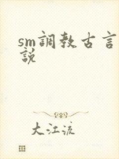 sm调教古言小说