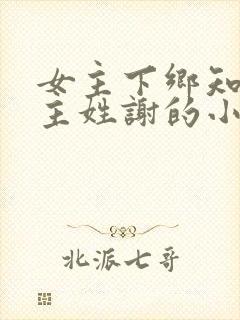 女主下乡知青男主姓谢的小说封面