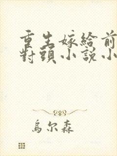 重生嫁给前夫死对头小说小说