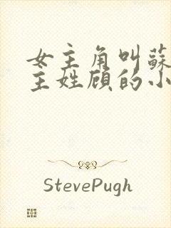 女主角叫苏禾男主姓顾的小说