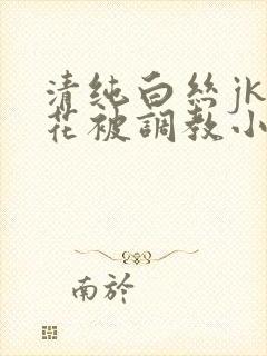 清纯白丝jk校花被调教小说封面