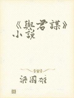 《与君谋》原著小说