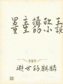 男主摄政王女主重生的小说封面