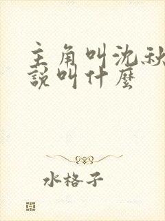 主角叫沈秋的小说叫什么