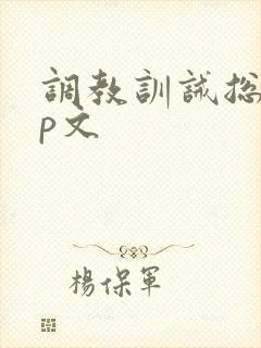 调教训诫总裁sp文封面