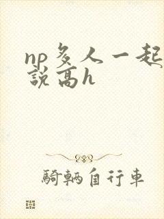 np多人一起小说高h