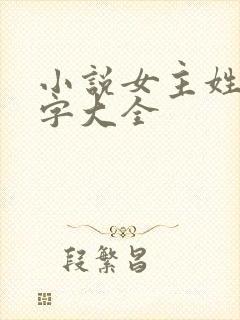 小说女主姓江名字大全封面