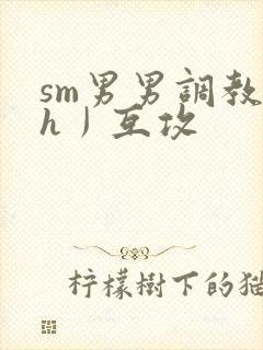 sm男男调教〈h丿互攻