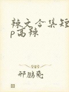 辣文合集短篇np高辣封面