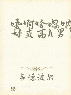 唔啊哈嗯呐啊唔好爽高h男男