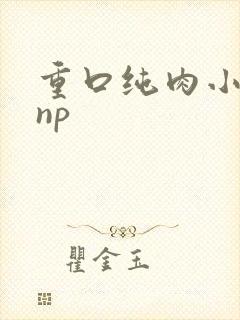 重口纯肉小说 np封面