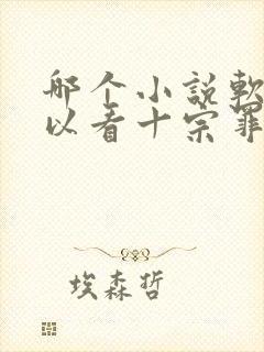 哪个小说软件可以看十宗罪封面