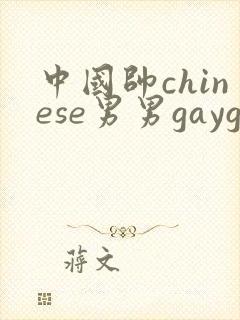 中国帅chinese男男gaygay网站xnxx