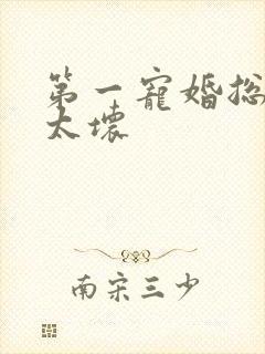 第一宠婚总裁别太坏