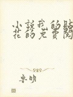 小说我的贴身校花的免费阅读