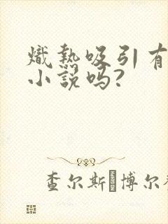 炽热吸引有原著小说吗?