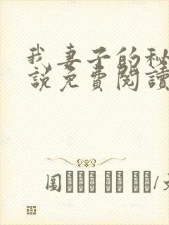 我妻子的秘密小说免费阅读