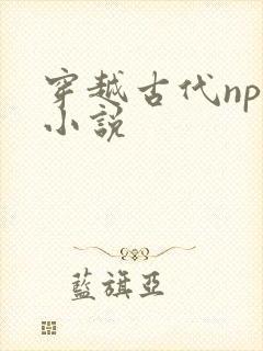 穿越古代np文小说封面