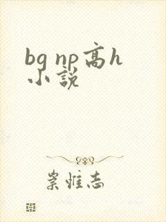 bg np高h小说