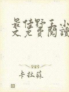 最佳野王小说全文免费阅读封面